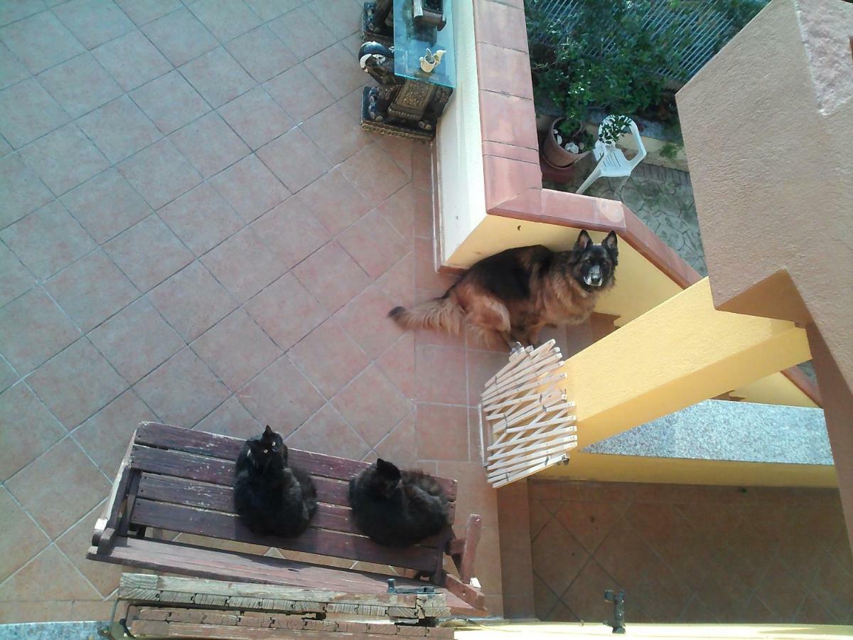 B&B Villa Sul Golfo Quartu Sant'Elena Bagian luar foto